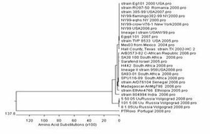 Indirect enzyme-linked immunosorbent assay (ELISA) kit for detecting human West Nile virus and detection method thereof