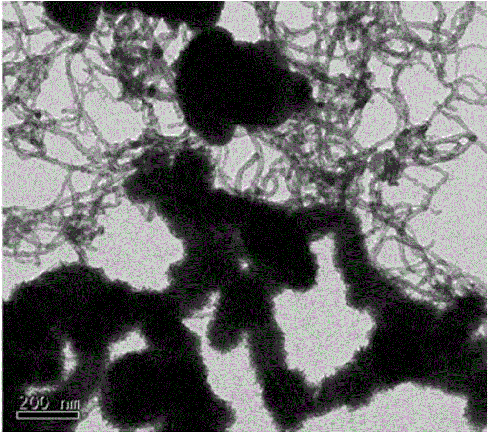 Preparing method for MoS2-CNT multi-level nano-structure electrolysis water hydrogen production material