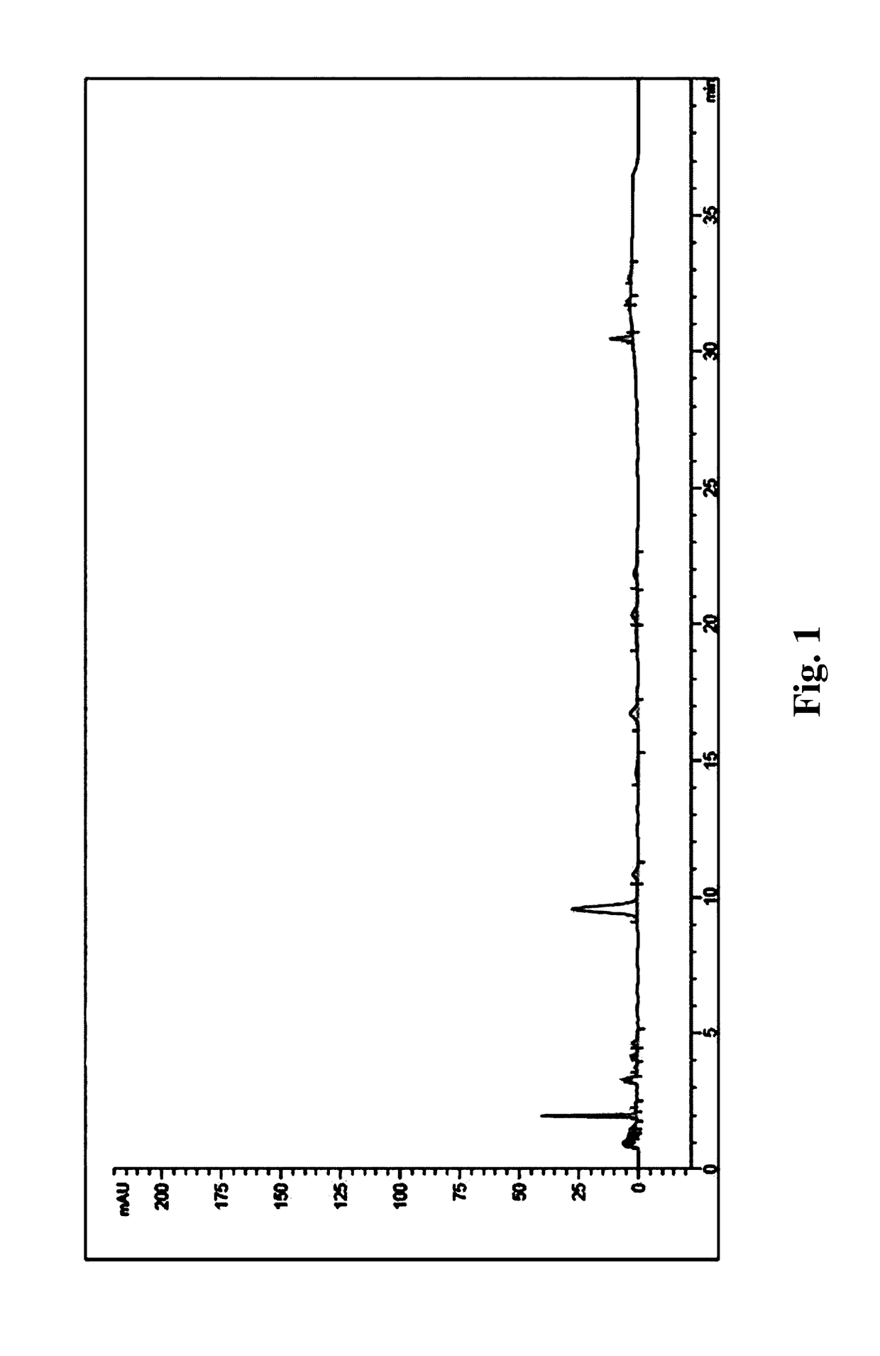 Composition comprising a purified extract isolated from <i>Pseudolysimachion rotundum </i>var. <i>subintegrum </i>containing abundant amount of active ingredient or the compounds isolated therefrom, as an active ingredient for treating a chronic obstructive pulmonary disease and the use thereof