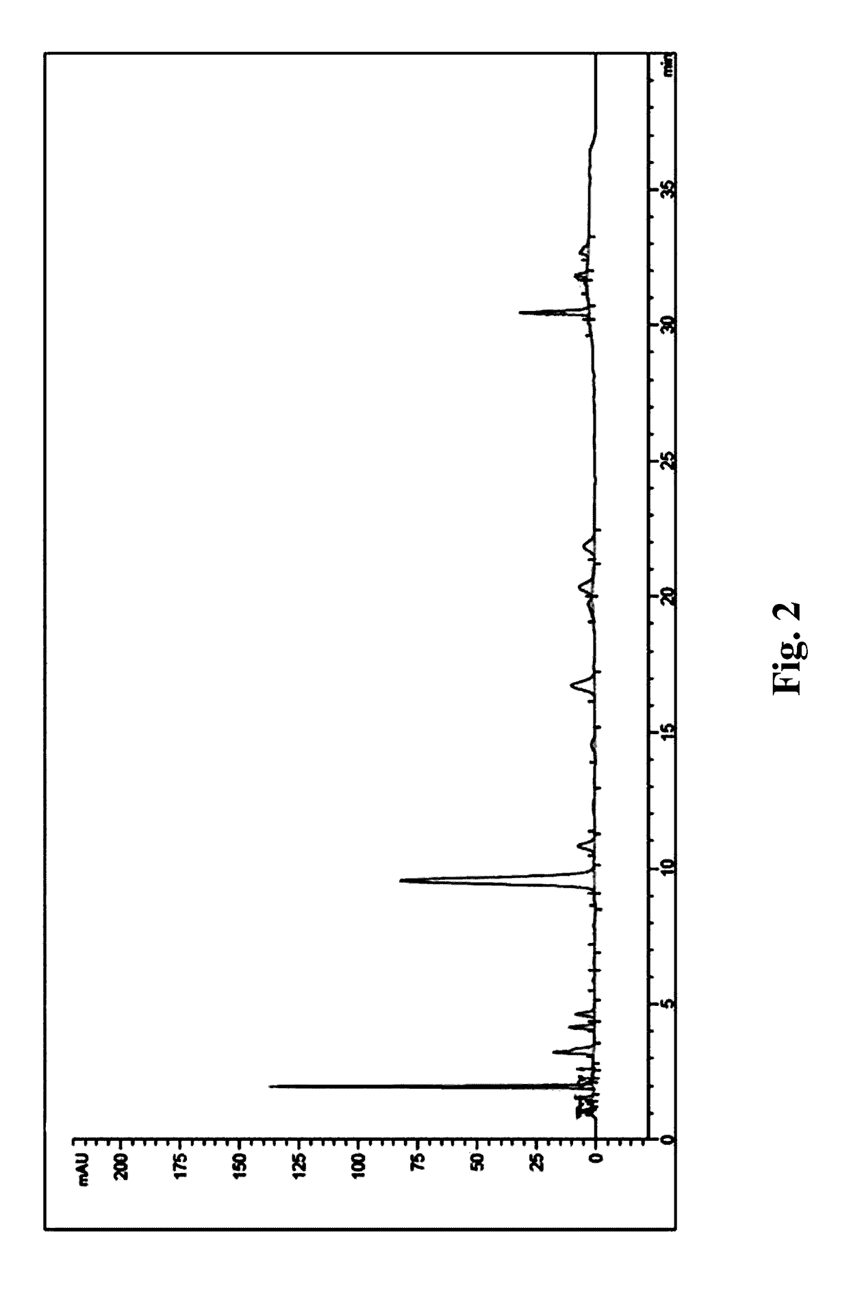 Composition comprising a purified extract isolated from <i>Pseudolysimachion rotundum </i>var. <i>subintegrum </i>containing abundant amount of active ingredient or the compounds isolated therefrom, as an active ingredient for treating a chronic obstructive pulmonary disease and the use thereof