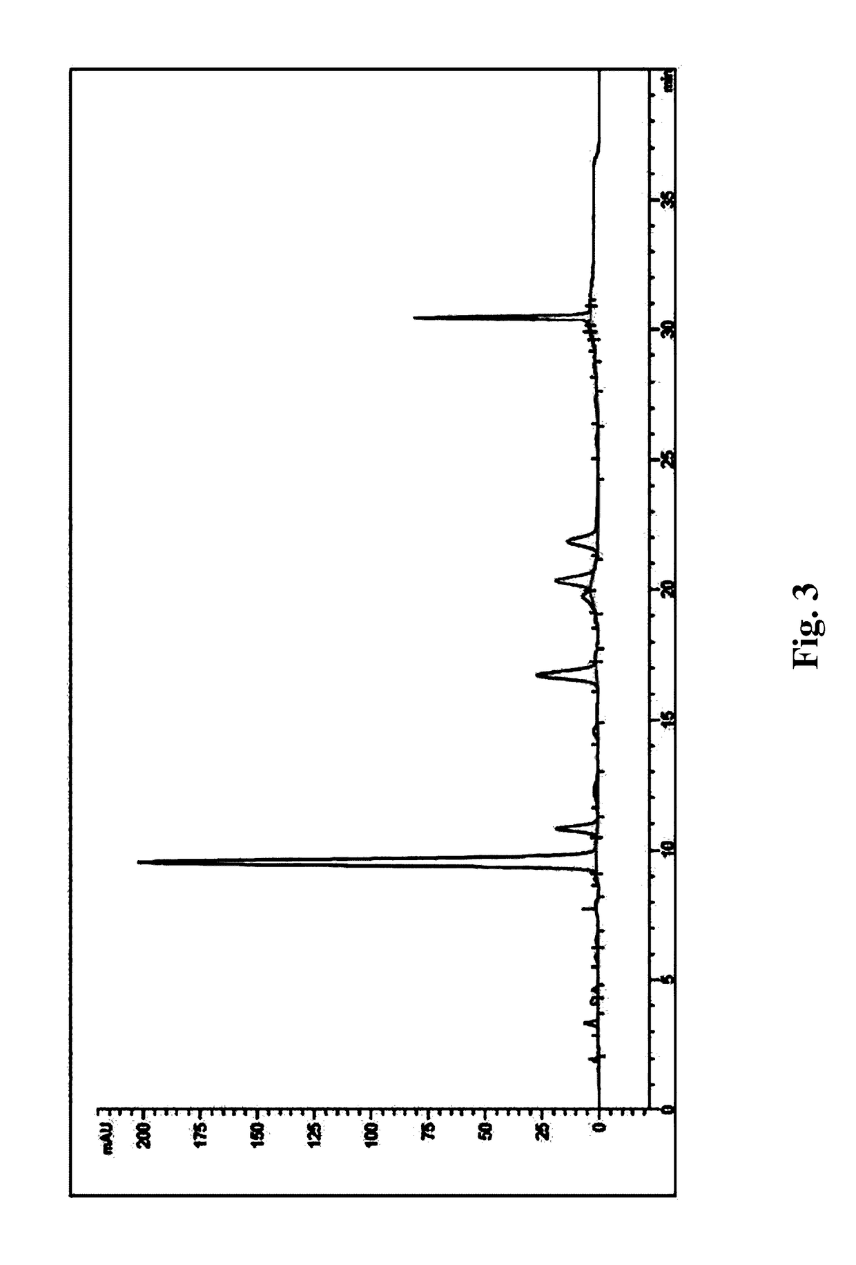 Composition comprising a purified extract isolated from <i>Pseudolysimachion rotundum </i>var. <i>subintegrum </i>containing abundant amount of active ingredient or the compounds isolated therefrom, as an active ingredient for treating a chronic obstructive pulmonary disease and the use thereof