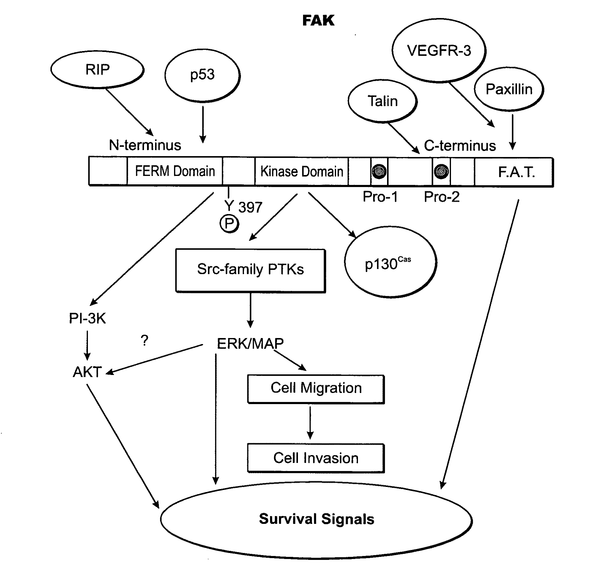 Kinase protein binding inhibitors