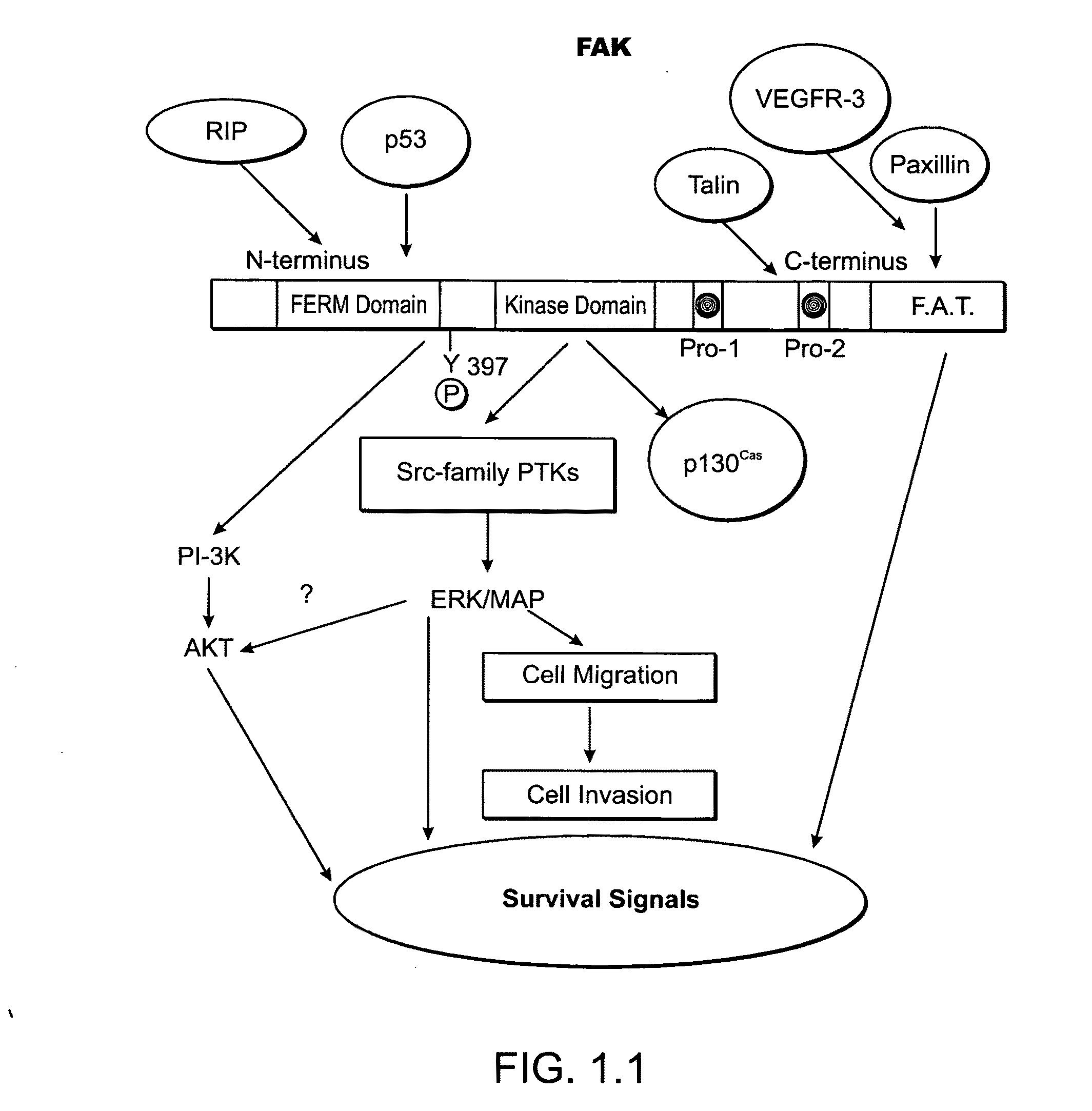 Kinase protein binding inhibitors