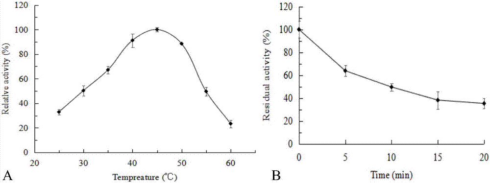 Pyrazinamide hydrolase, and encoding gene and application thereof