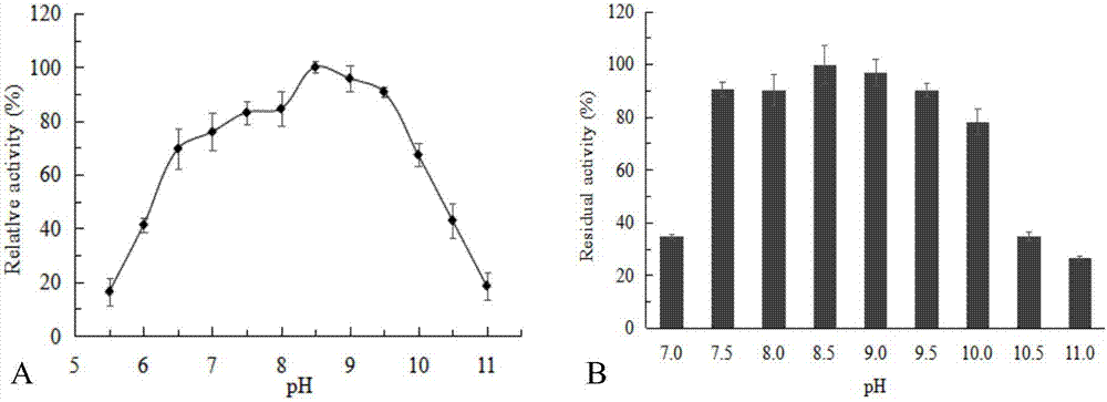 Pyrazinamide hydrolase, and encoding gene and application thereof