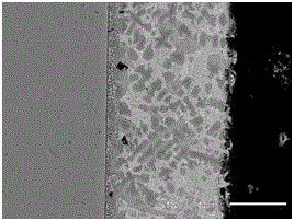 Two-step SuperDyma alloy hot dipping technology for structural steel