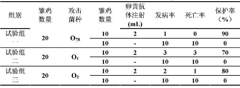 Yolk antibody for preventing and treating colibacillosis, preparation method for yolk antibody and feed additive