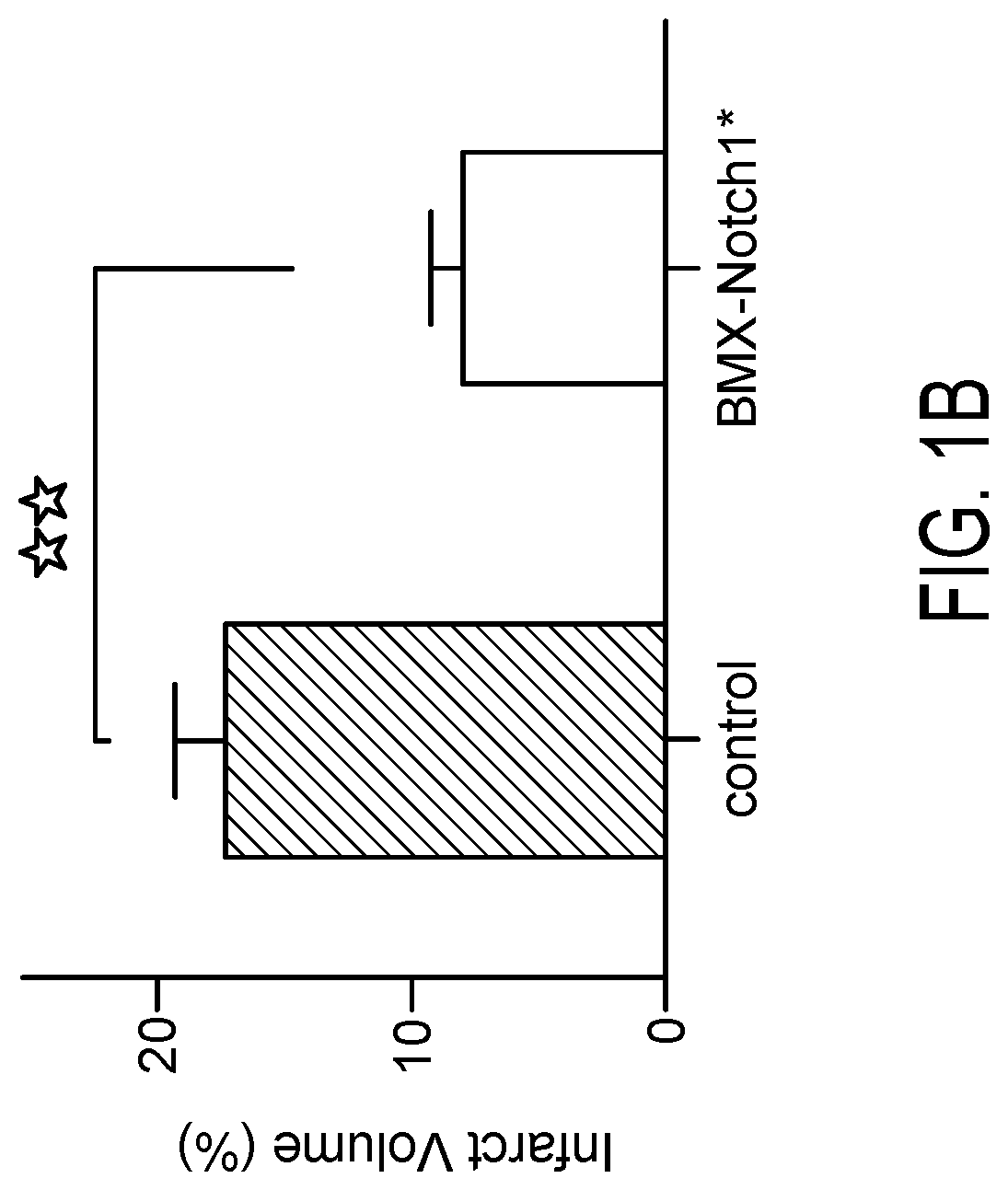 Treatment of Vascular Occlusion by Activation of Notch Signaling