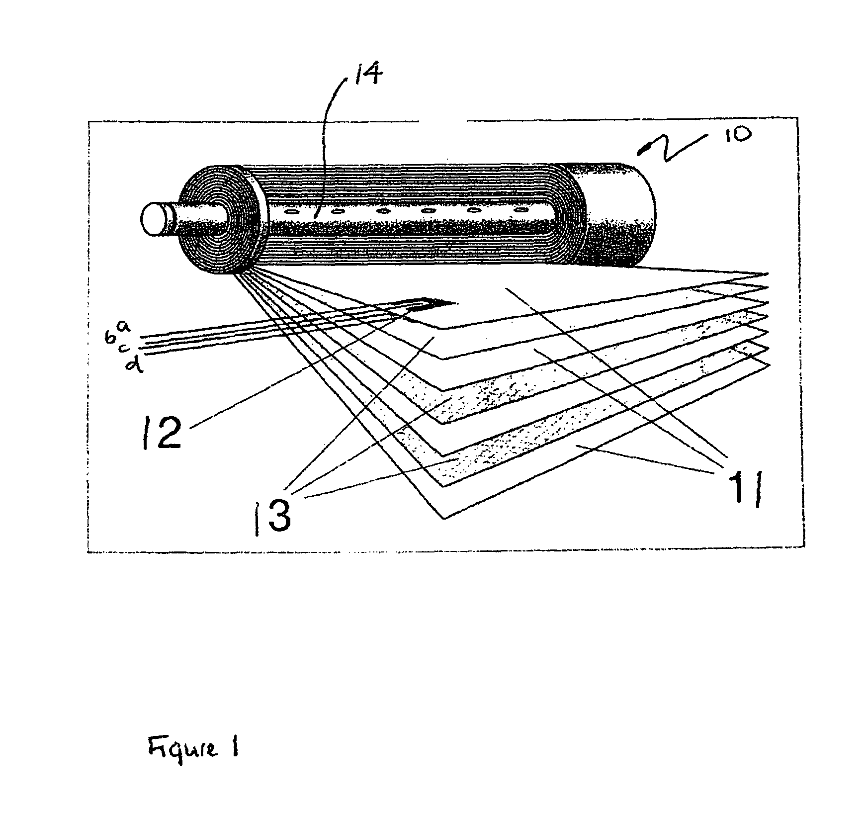 In situ membrane monitoring