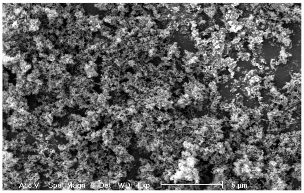 Functional separator for improving performance of lithium-sulfur battery and lithium-sulfur battery comprising the functional separator