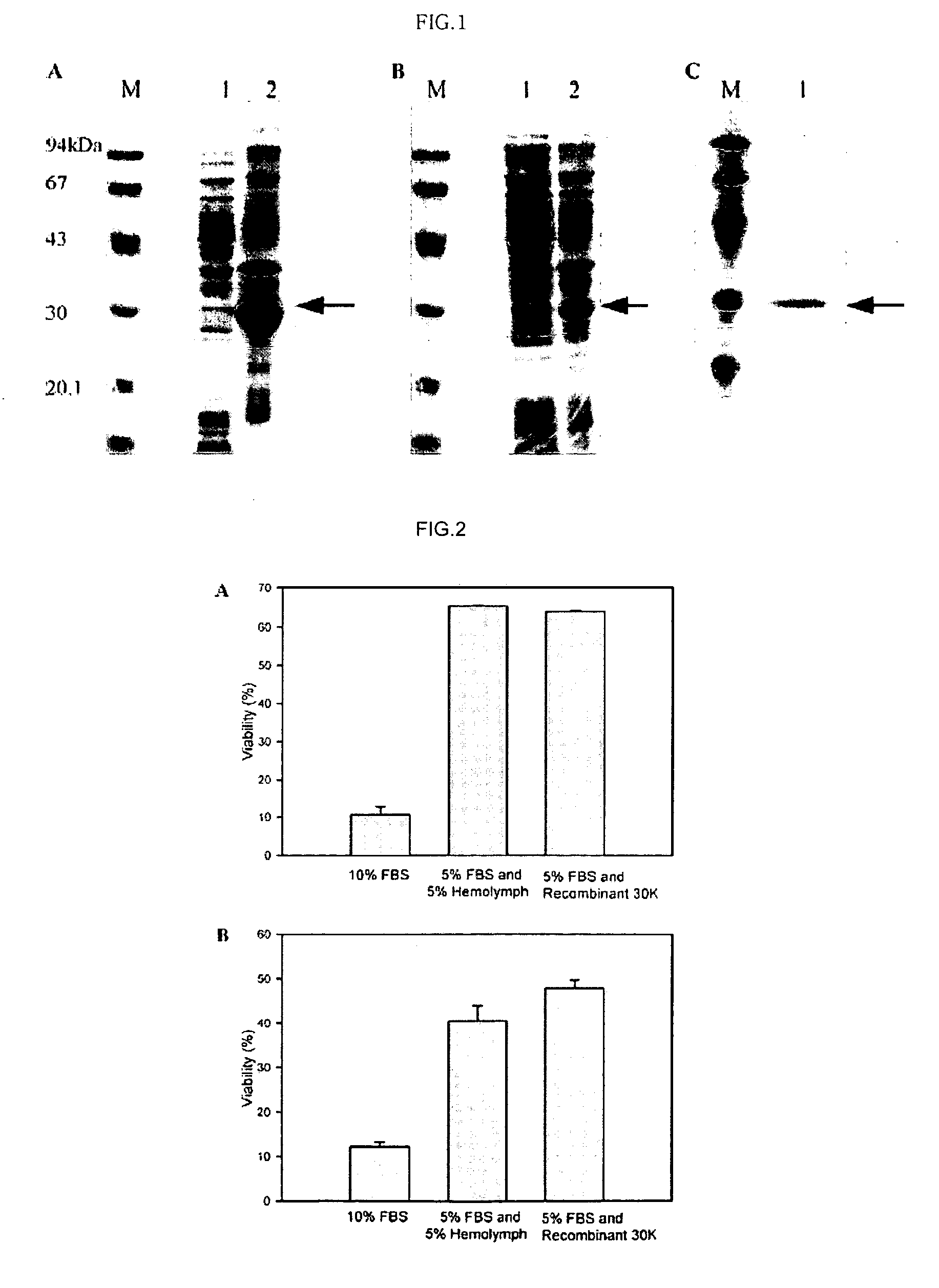 DNA encoding anti-apoptotic protein and recombinant 30K protein