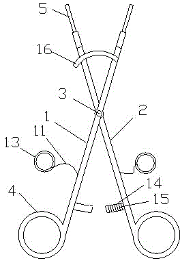 Microsurgery forceps with double forceps heads capable of clamping and fixing