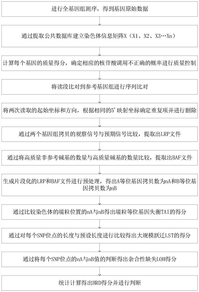 A gene scar characterizing HRD homologous recombination repair defect and its identification method