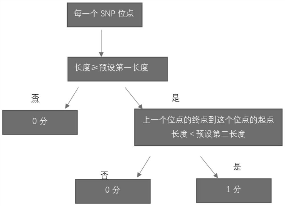 A gene scar characterizing HRD homologous recombination repair defect and its identification method