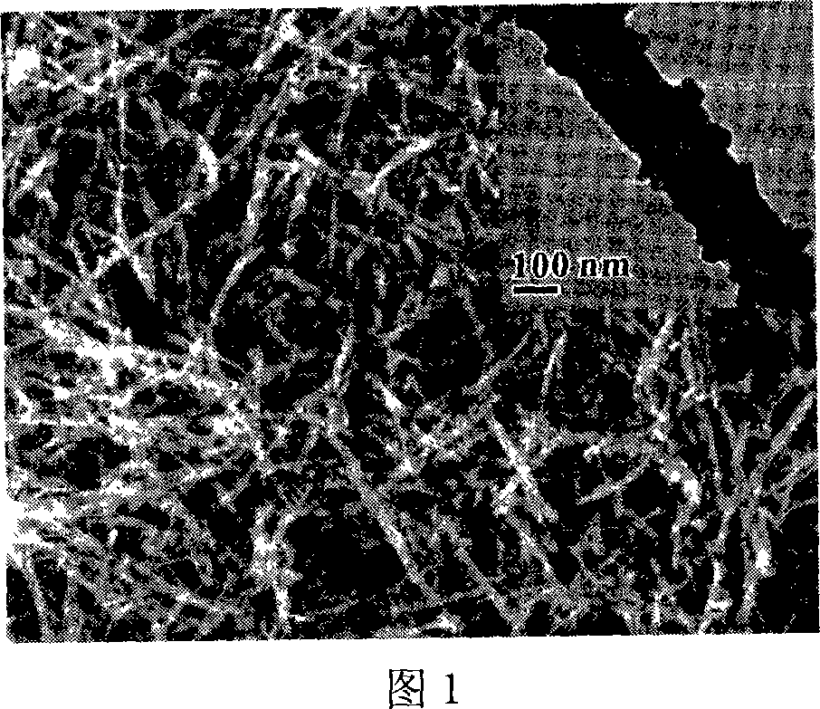 Method of preparing organic macromolecule nano tube from sodium sulfide and perchlorobenzoacenaphthylene