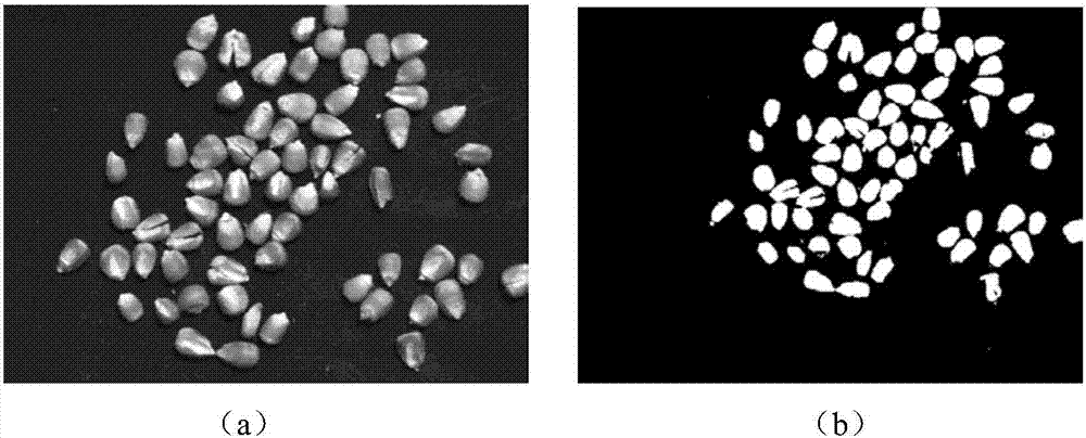 Corn breakage rate detection method based on GPU embedded platform