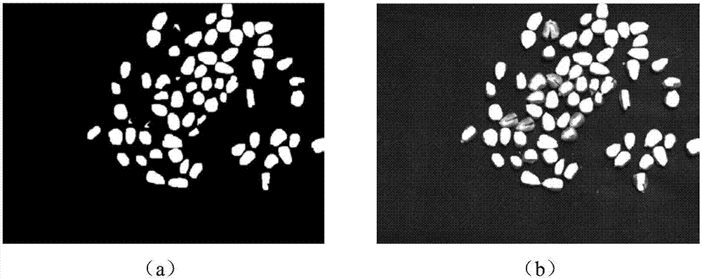 Corn breakage rate detection method based on GPU embedded platform