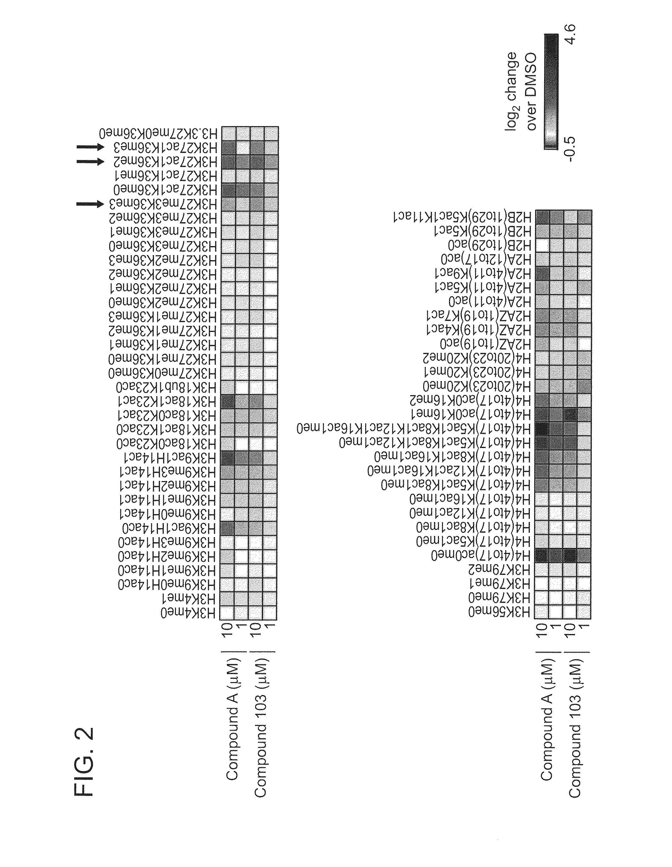 Inhibitors of Histone Deacetylase