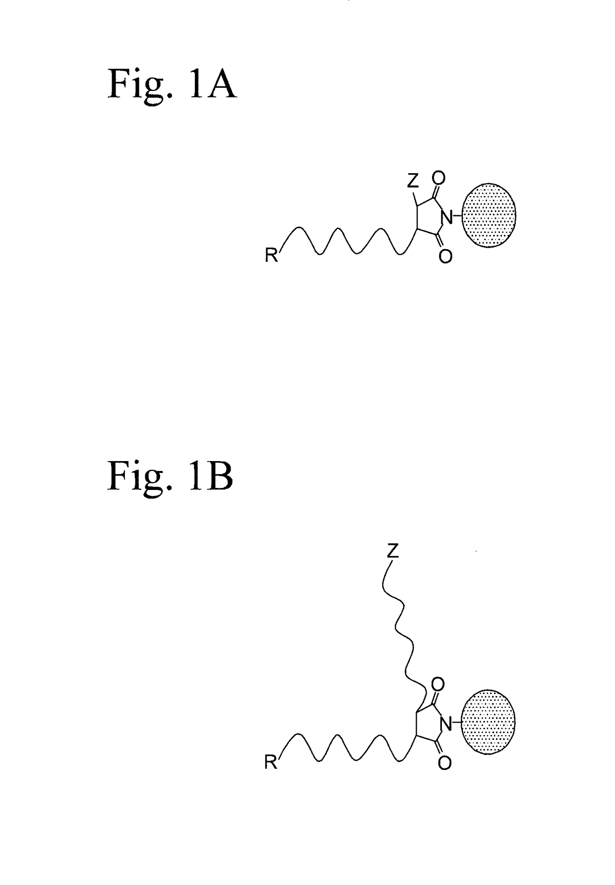 Omega-functionalized polymers, junction-functionalized block copolymers, polymer bioconjugates, and radical chain extension polymerization