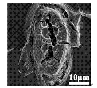 SnO2 three-dimensional porous photon amorphous semiconductor material and preparation method thereof