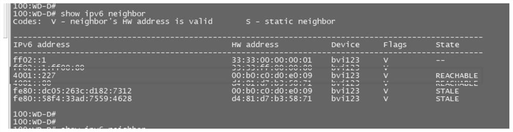 Method and system for preventing address spoofing attacks by ns reverse query