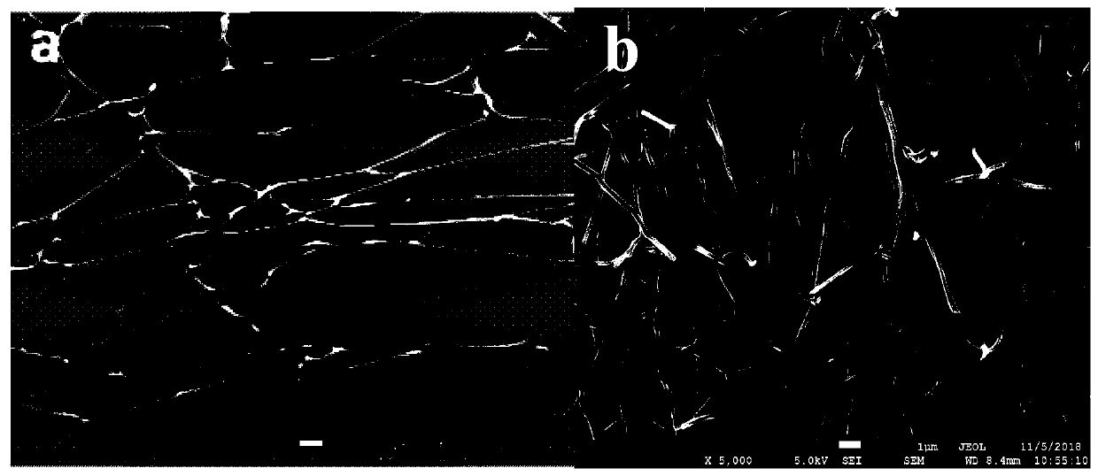 Method for detecting trace Cu&lt;2+&gt; in margarya melanoides by using three-dimensional carbon fiber modified electrode as sensor