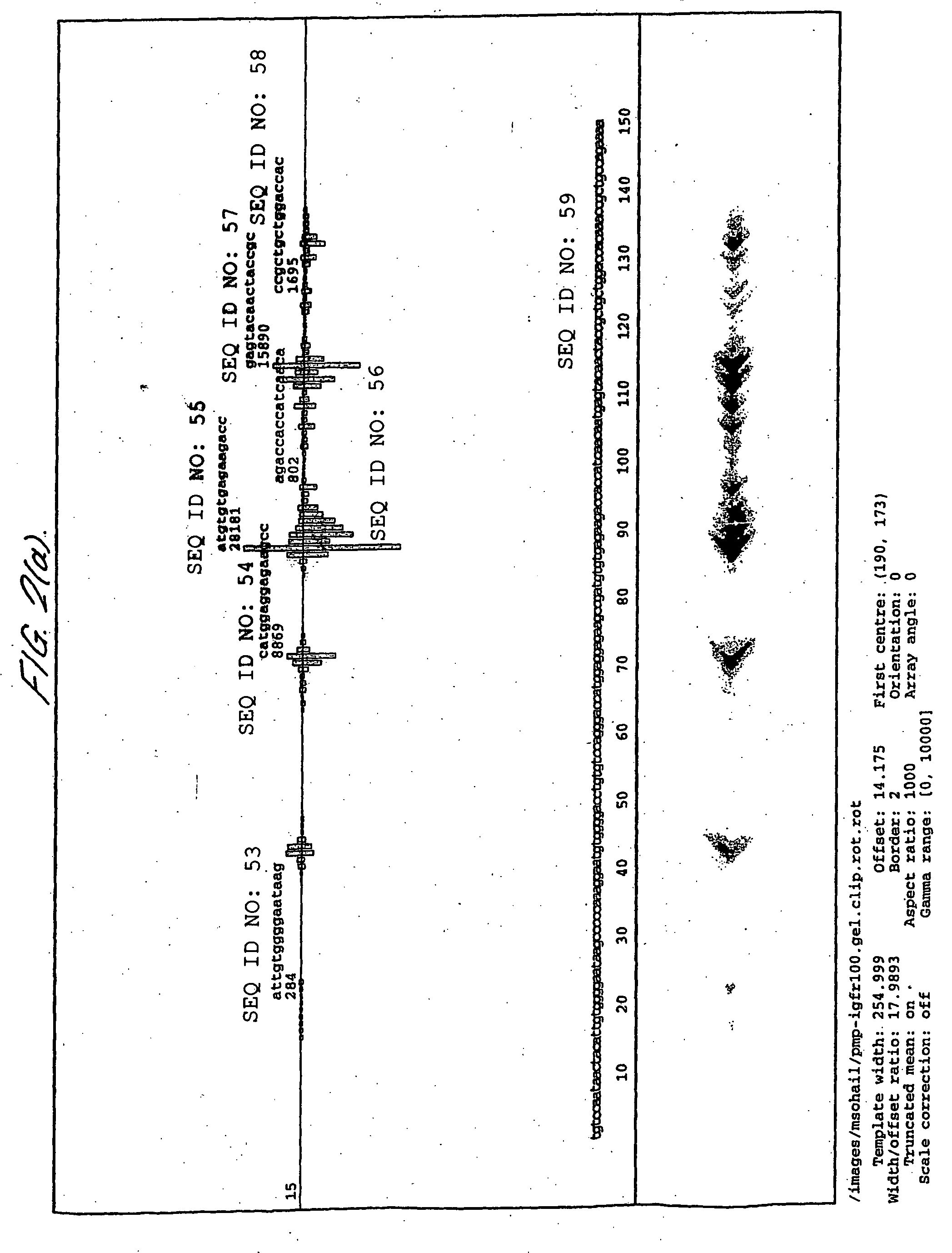 Molecular targeting of the IGF-1 receptor