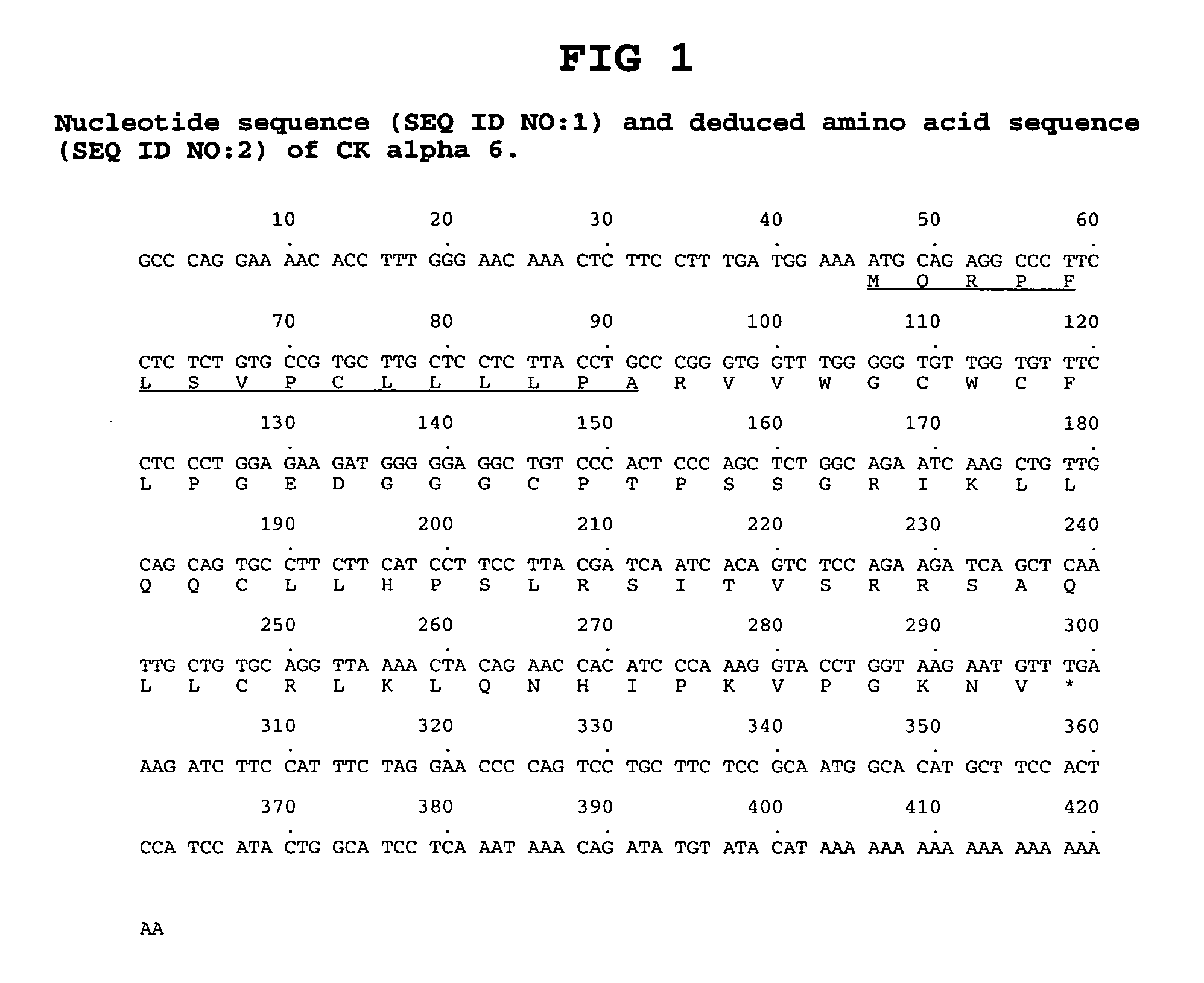 Antibodies to chemokine alpha-6