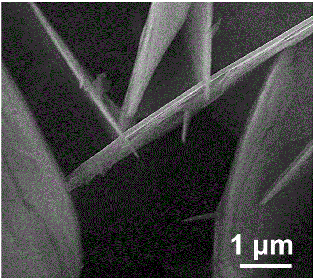 Two-dimensional porous carbon skeletal nano-material and preparation method thereof