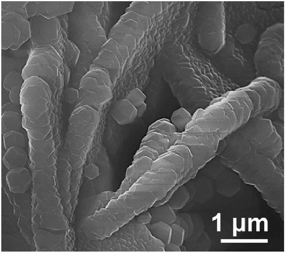 Two-dimensional porous carbon skeletal nano-material and preparation method thereof