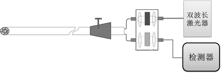 Raman spectrum detection device based on fibrescope and implementation method of detection device