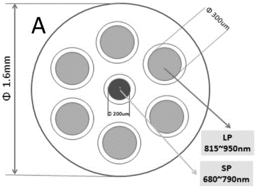 Raman spectrum detection device based on fibrescope and implementation method of detection device