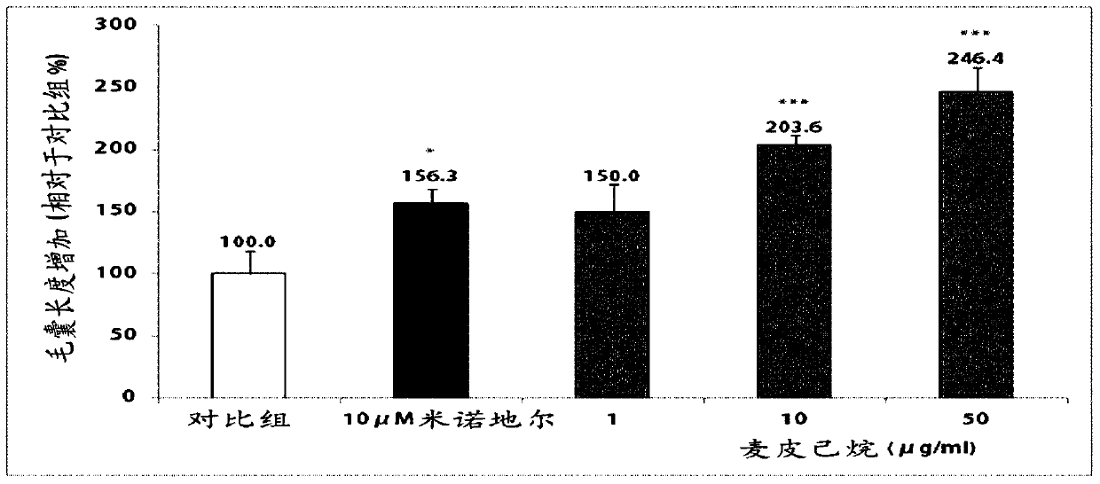 Composition for preventing hair loss or promoting hair growth containing barley bark extract as an active ingredient