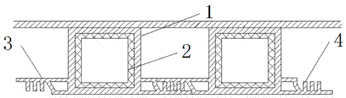 Double-plastic composite tube and production equipment thereof