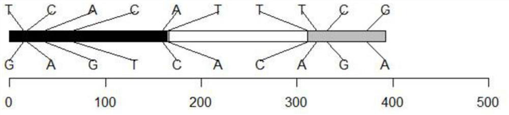 Recombined nucleic acid fragment reccr010007 and its detection primers and applications