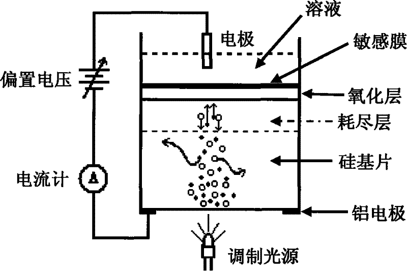 Arrayed optical address electric potential sensor chip and its manufacture method