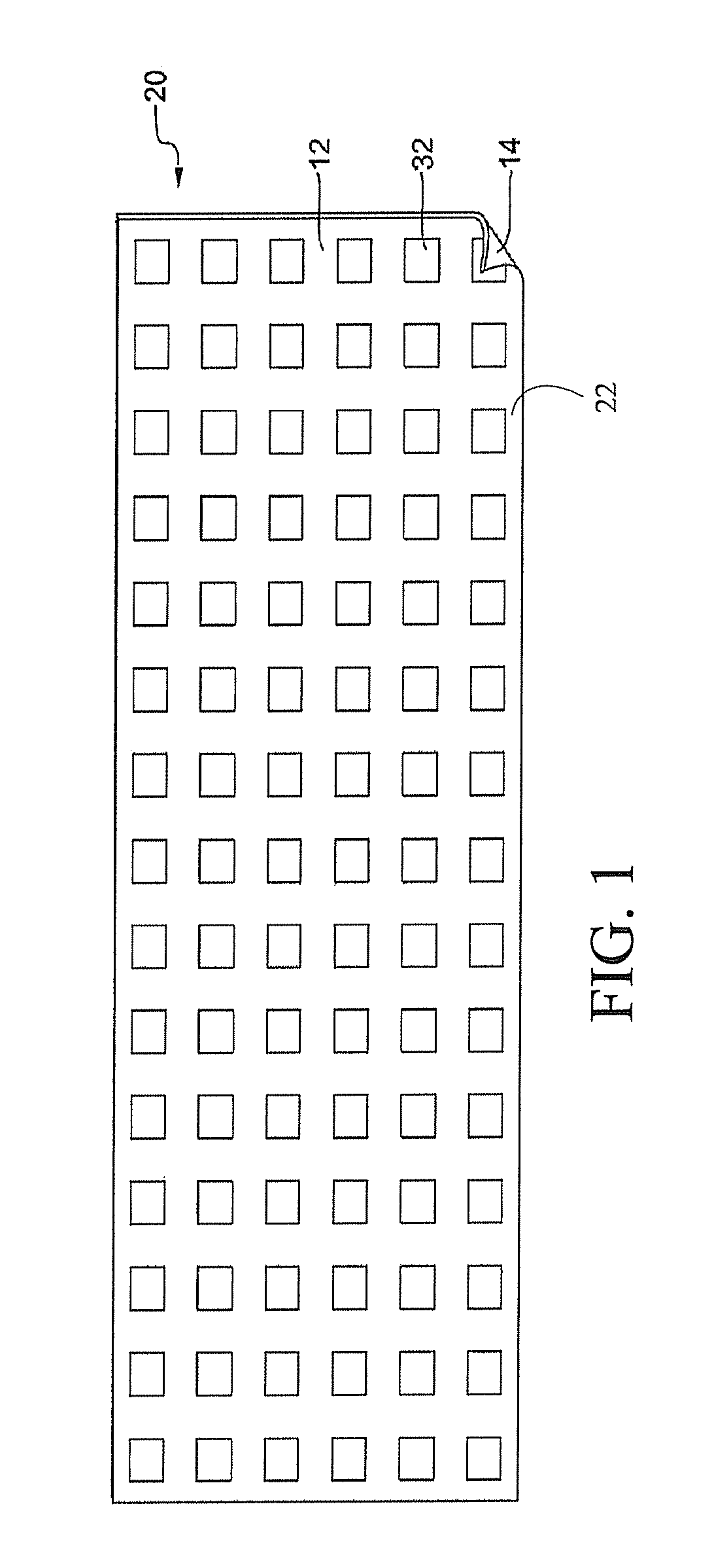 Expandable amnion membrane for treating non-healing wounds