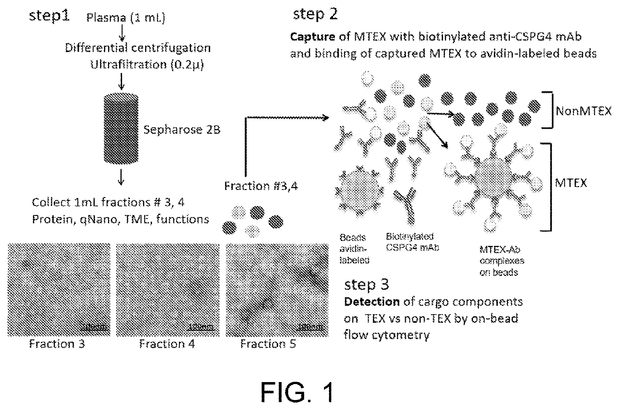 Tumor cell-derived exosomes and their applications