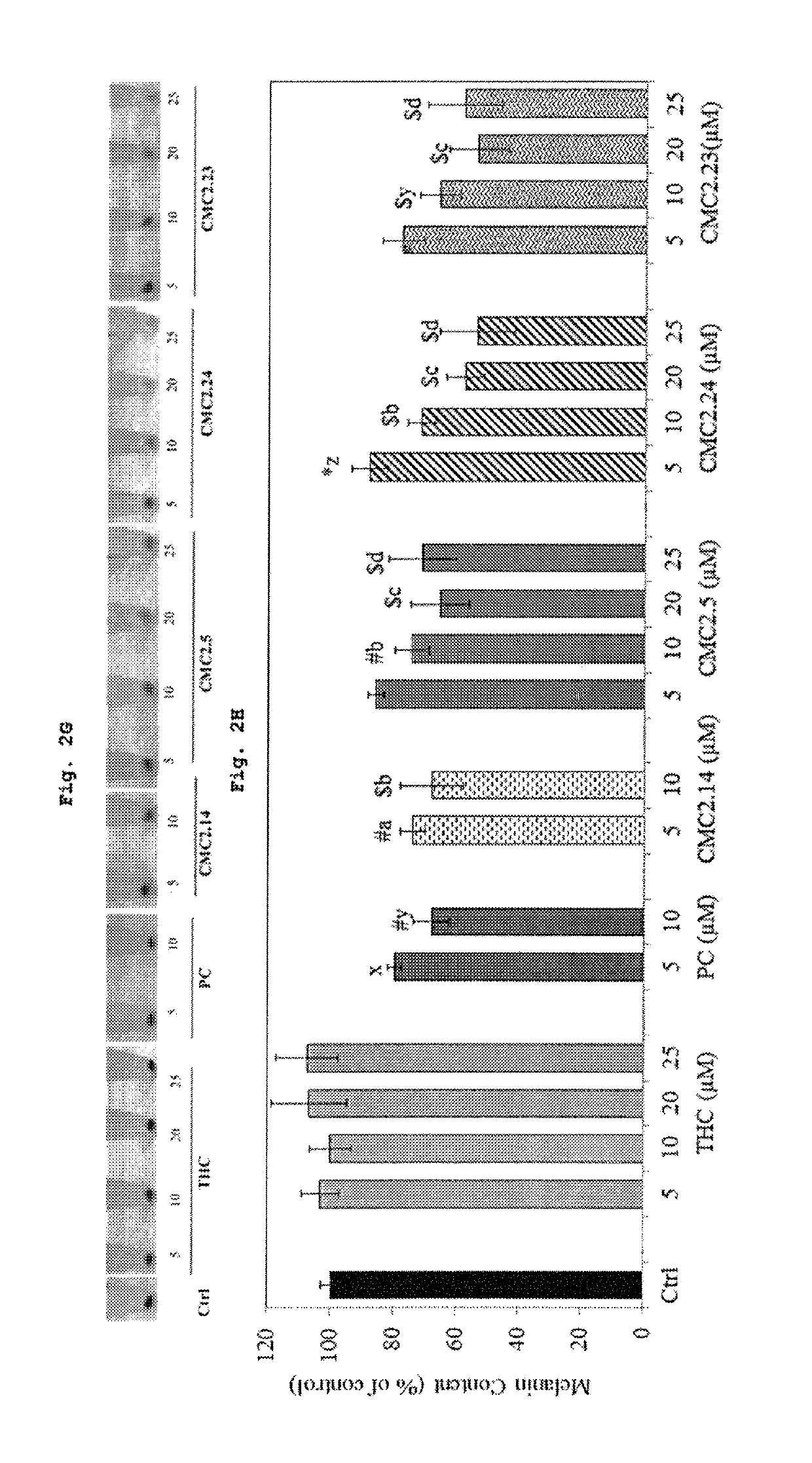 Inhibition of melanogenesis by chemically modified curcumins