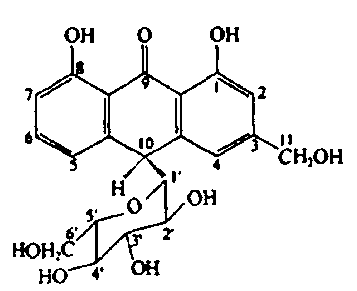 Natural plant sun cream and preparation process thereof