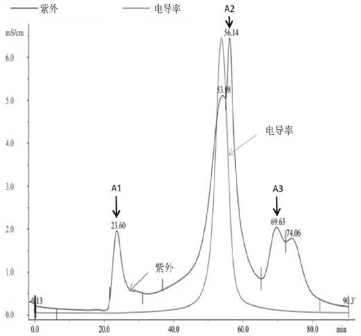 Separation and purification method of active starfish peptide, active starfish peptide and application