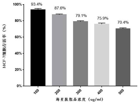 Separation and purification method of active starfish peptide, active starfish peptide and application