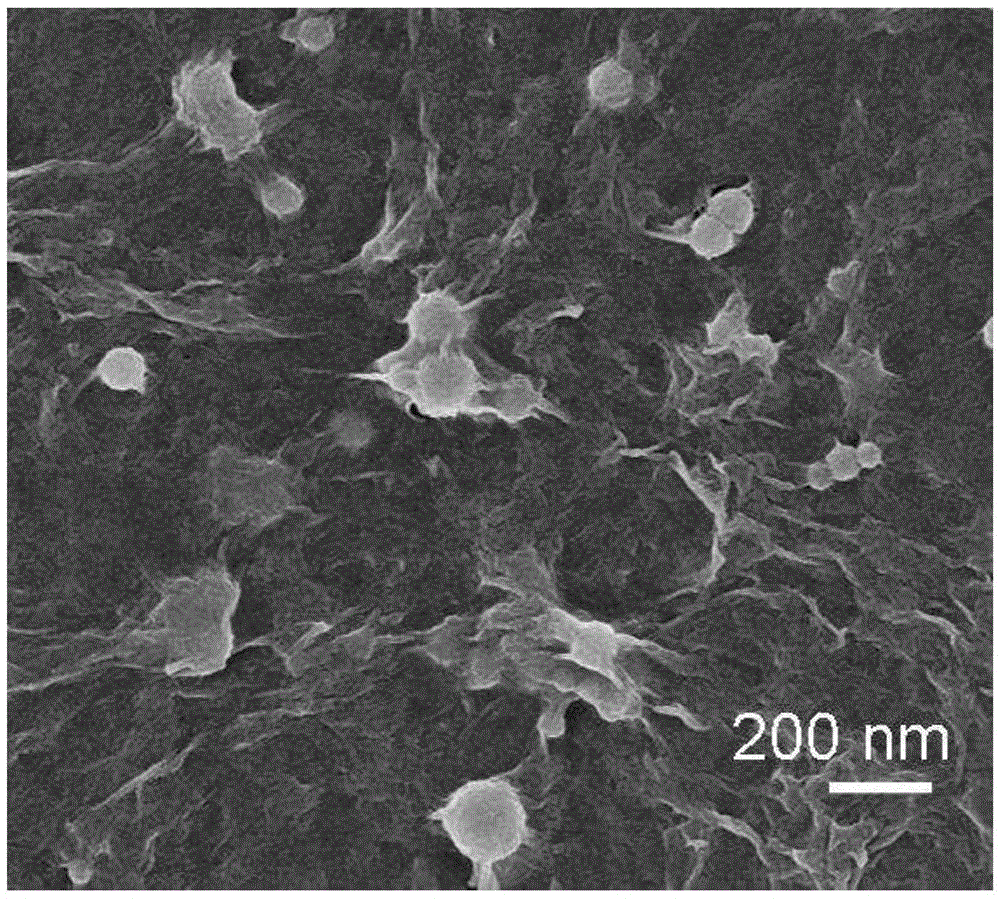 A kind of magnetic fluorescent bifunctional graphene oxide nanocomposite material and preparation method thereof