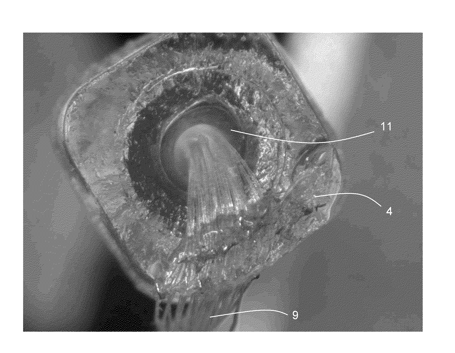 Method for producing a tube for a hearing aid