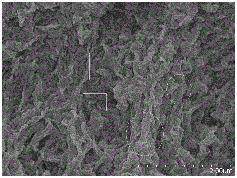 Preparation method of anthraquinone-molecule non-covalent modified graphene/conductive polymer composite