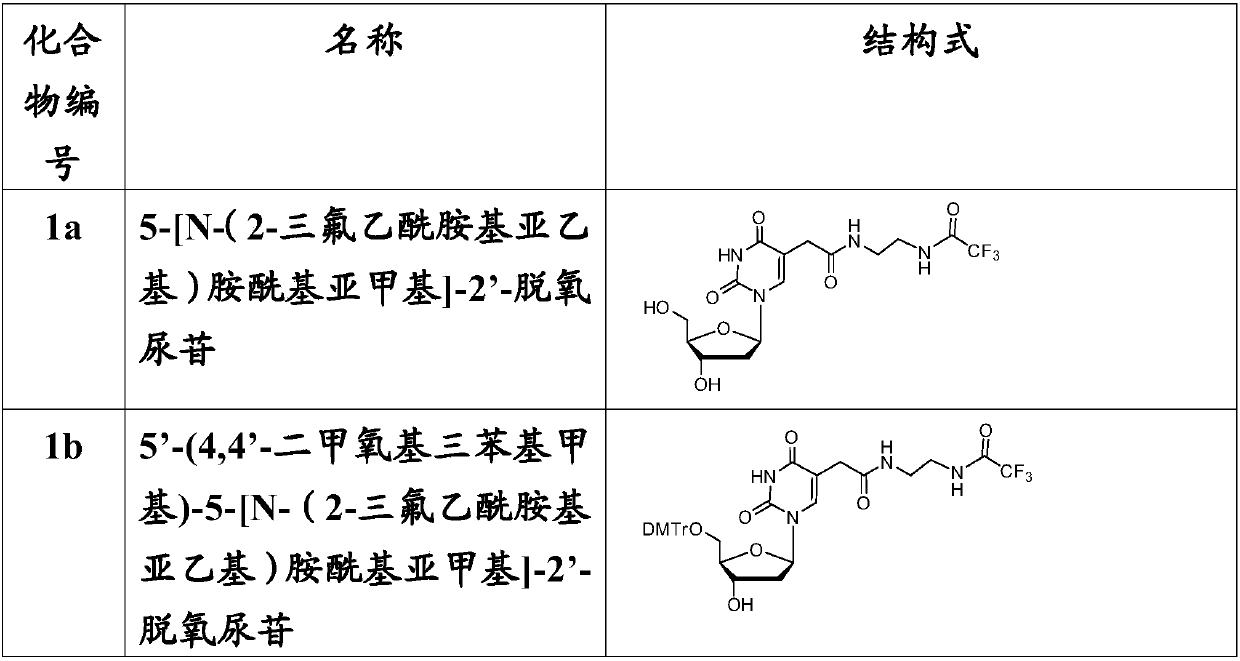 Nucleic acid and application thereof