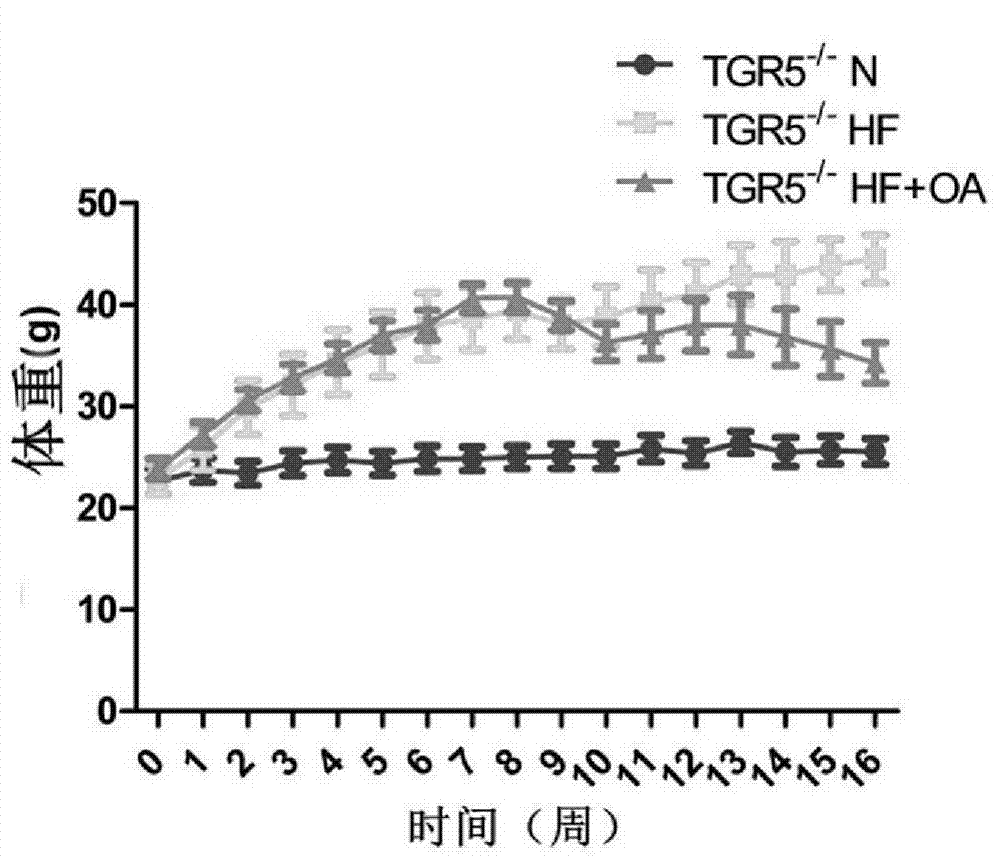 Application of oleanolic acid in preparation of medicine for treating obesity