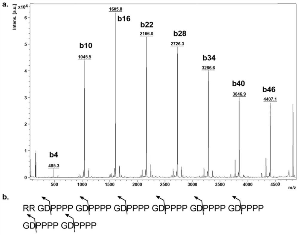 Compound as well as mass spectrum standard substance and calibration substance thereof