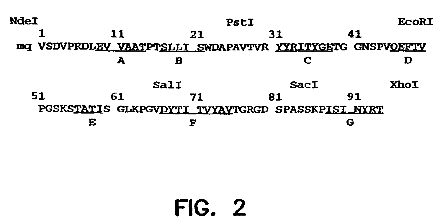 Reconstituted polypeptides