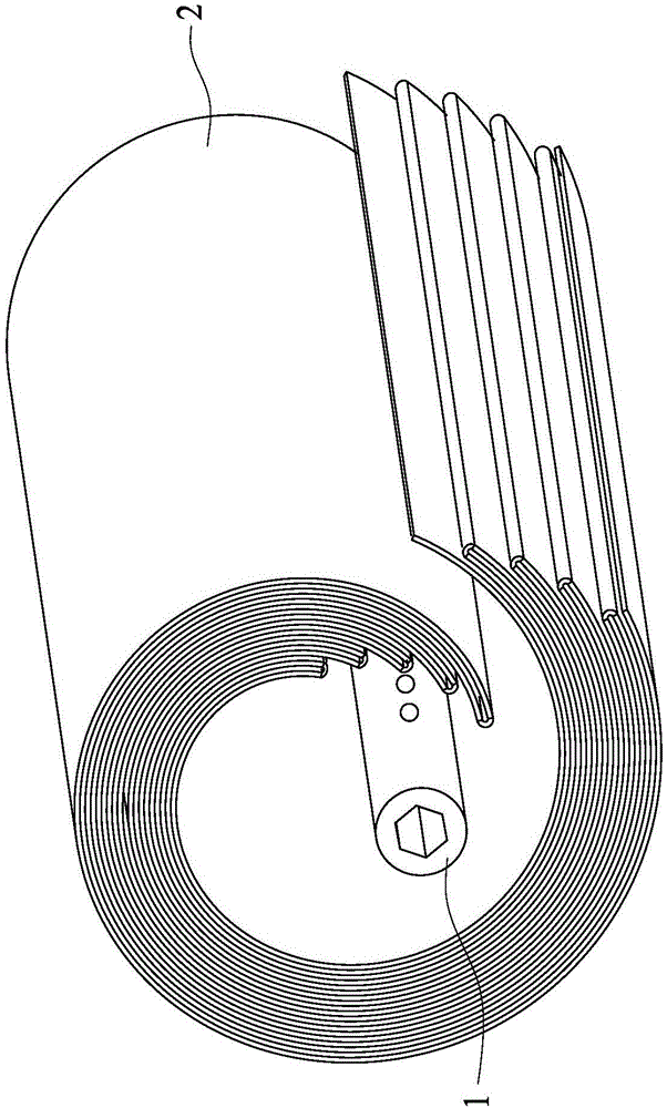 Coil-type filter membrane assembly and manufacturing method thereof